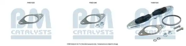 BM Catalysts FK92133