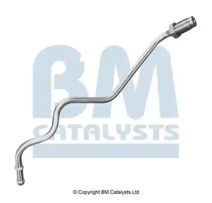 BM Catalysts PP11118A