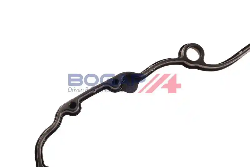 BOGAP A1118113