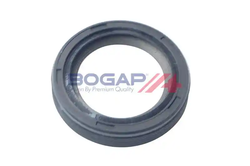 BOGAP A1119102
