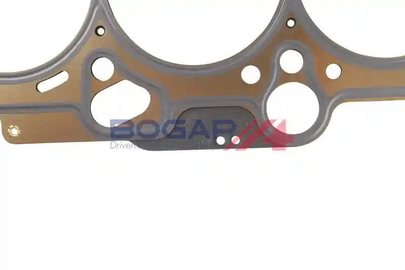 BOGAP A1126107