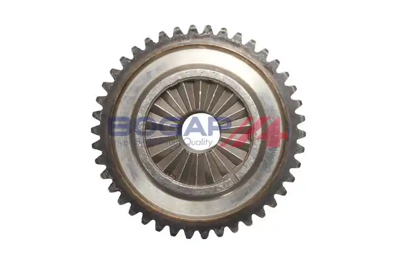 BOGAP A1220116