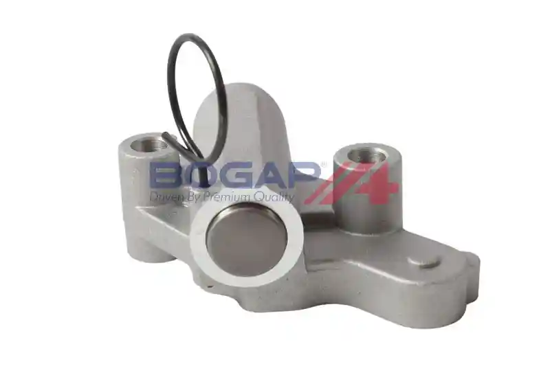 BOGAP A1312143 BOGAP A1312143