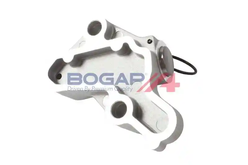 BOGAP A1312143 BOGAP A1312143