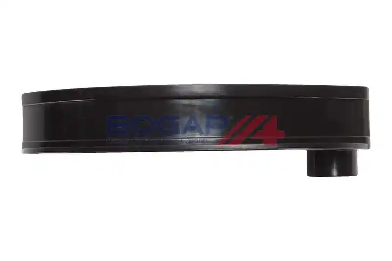 BOGAP A1313145