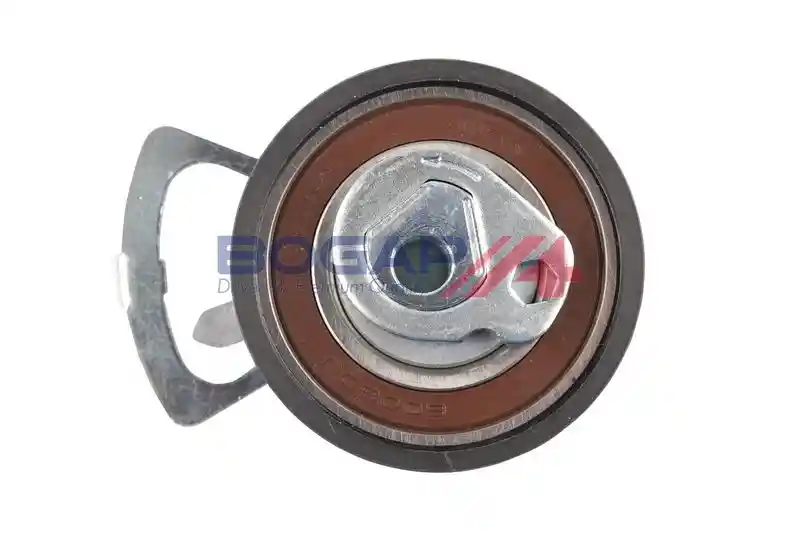 BOGAP A1317110