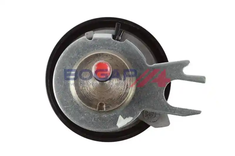 BOGAP A1317111