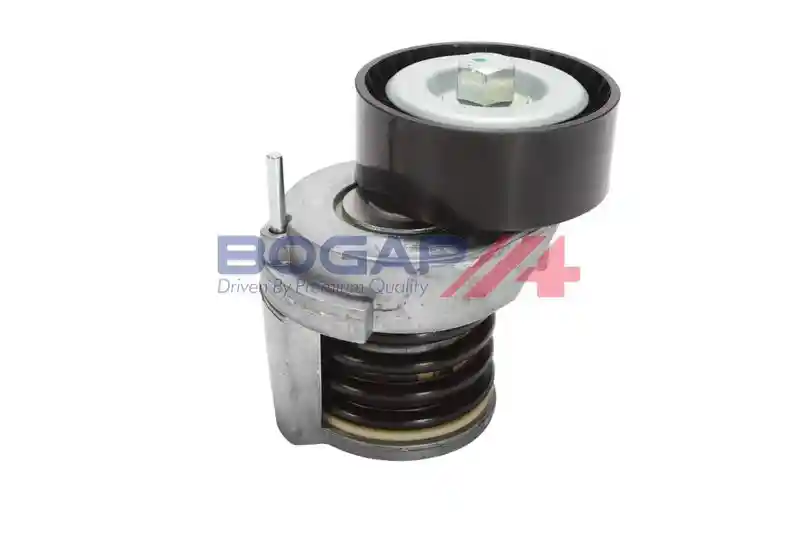 BOGAP A1317115