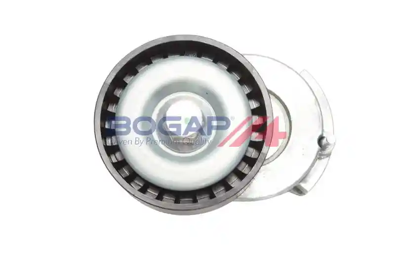 BOGAP A1317115