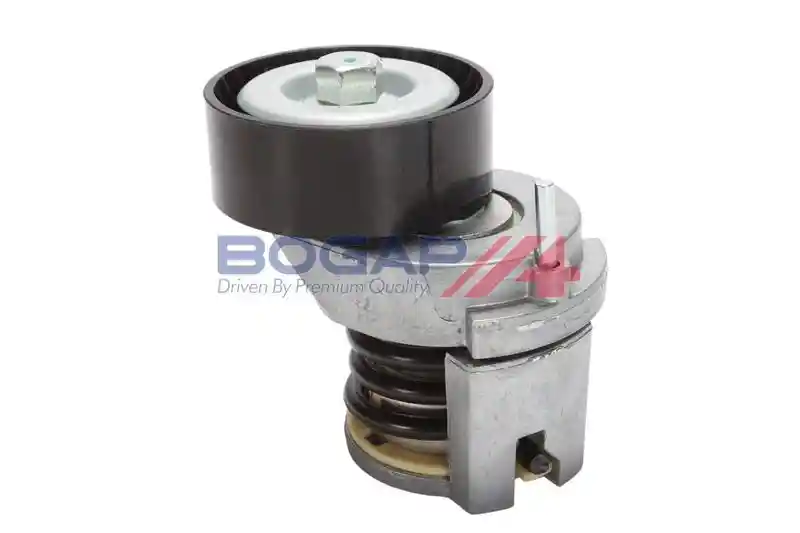 BOGAP A1317115