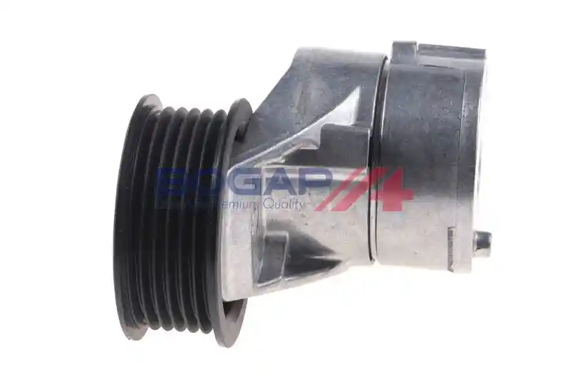 BOGAP A1317117