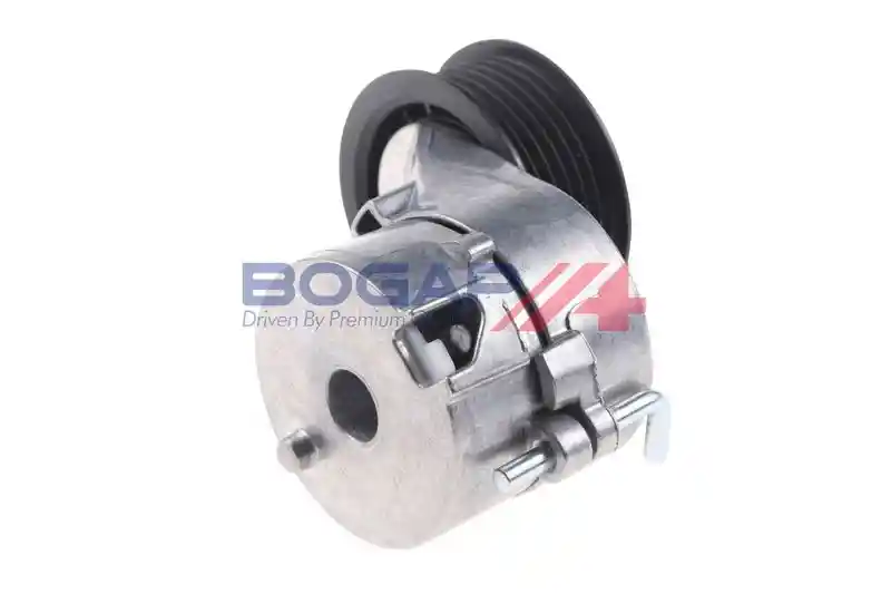BOGAP A1317117