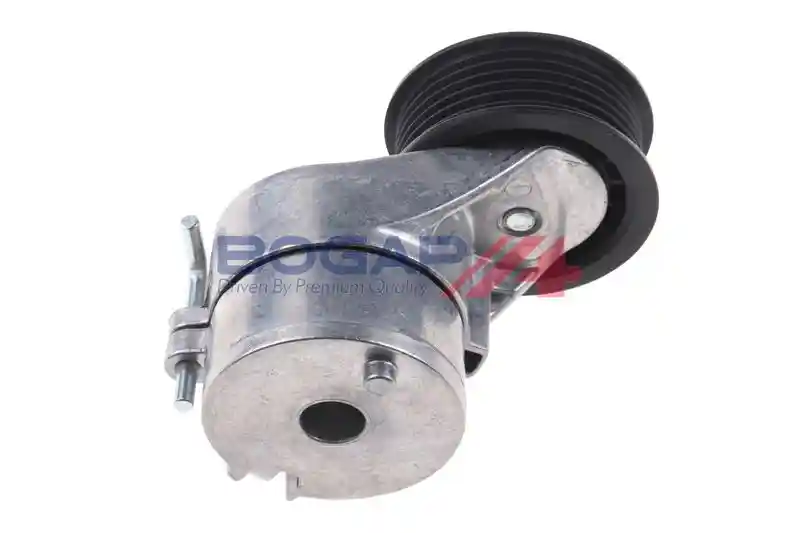 BOGAP A1317117