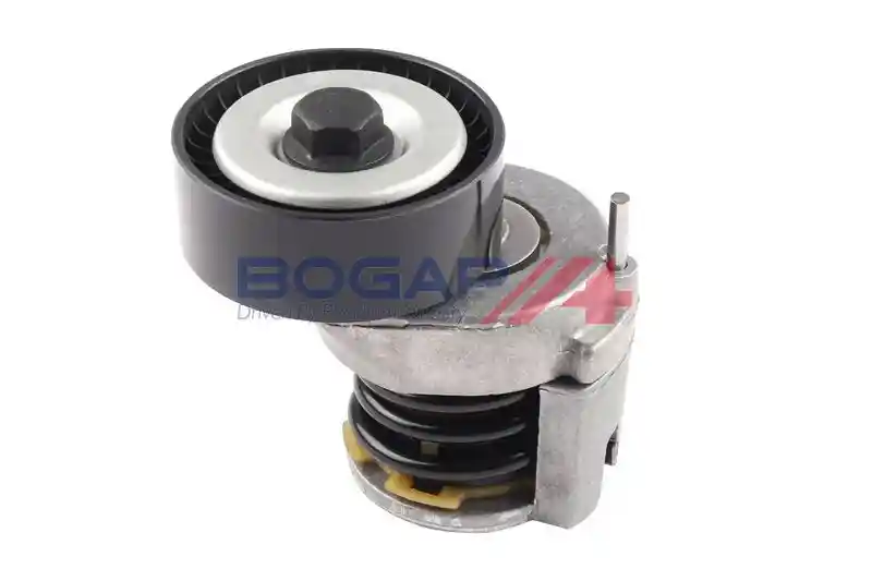 BOGAP A1317119
