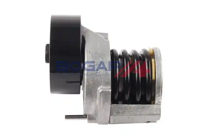 BOGAP A1317119
