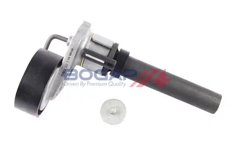 BOGAP A1317122 BOGAP A1317122