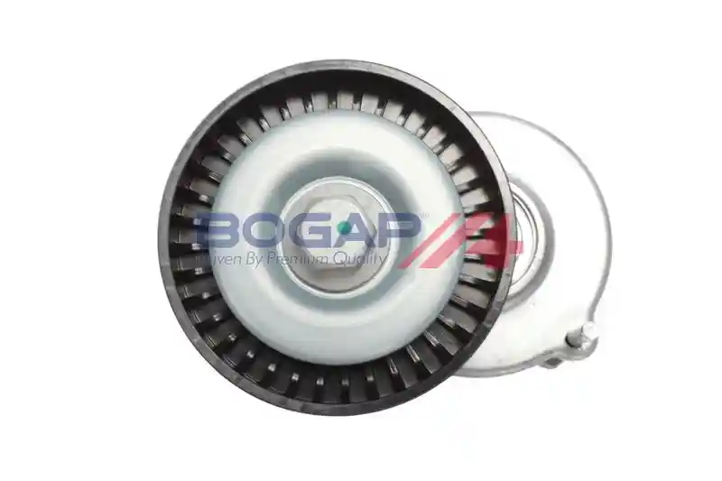 BOGAP A1317124