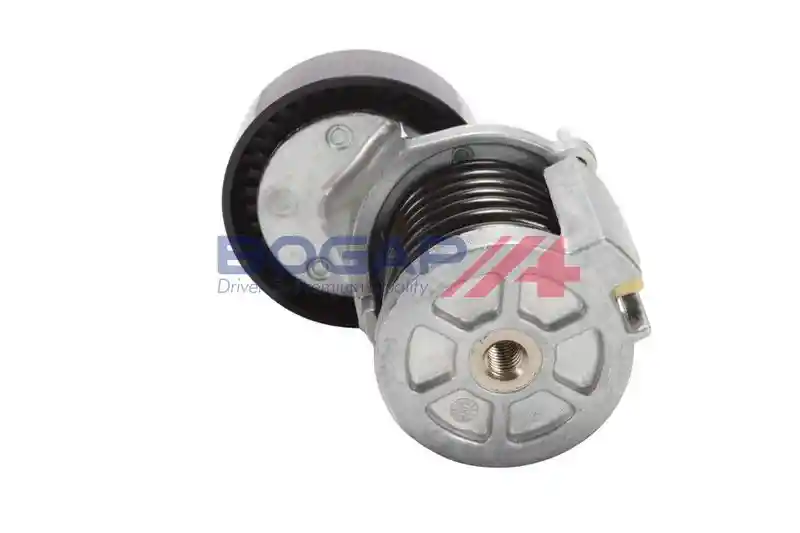 BOGAP A1317124