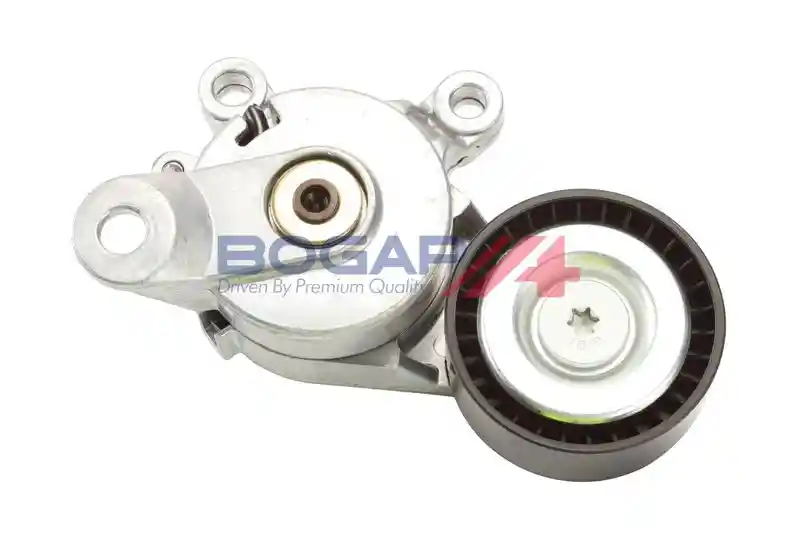 BOGAP A1317134 BOGAP A1317134