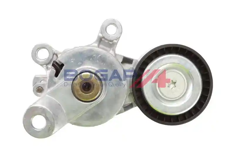 BOGAP A1317134 BOGAP A1317134
