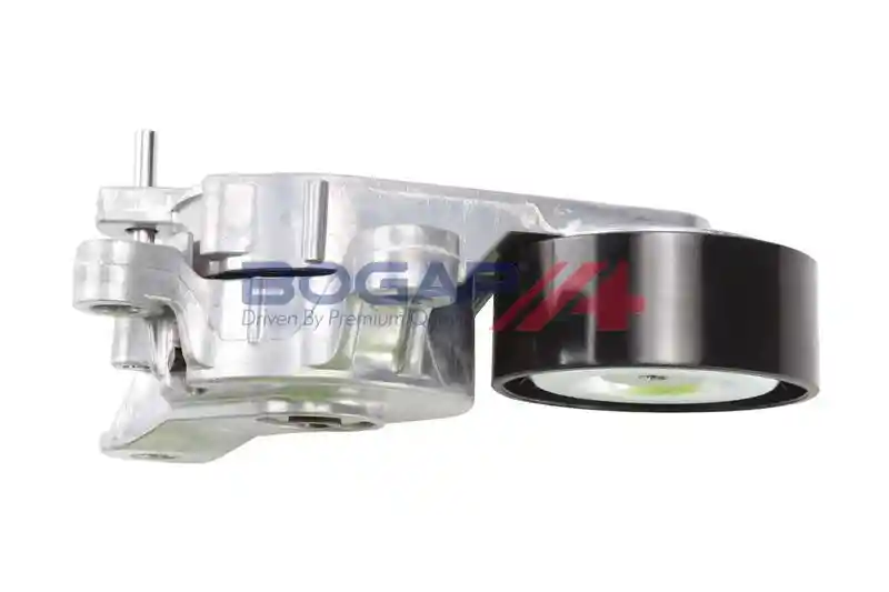 BOGAP A1317134 BOGAP A1317134