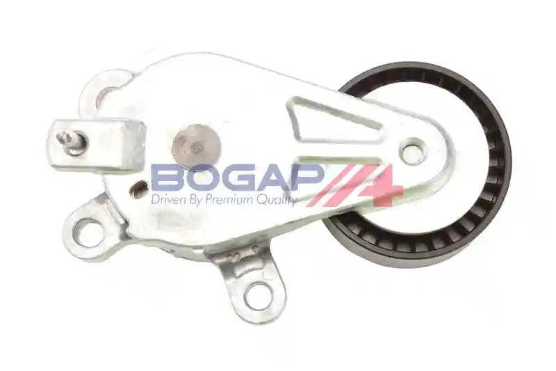 BOGAP A1317134 BOGAP A1317134