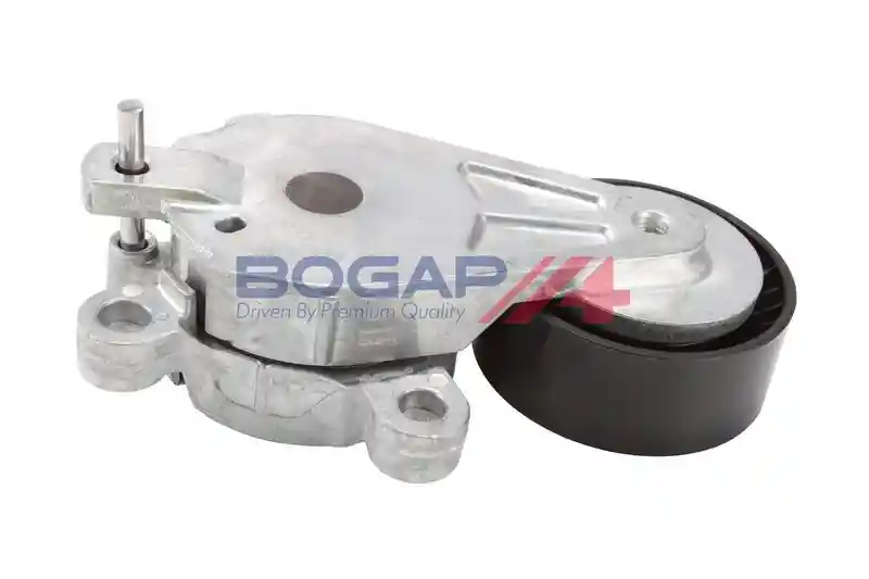 BOGAP A1317134 BOGAP A1317134