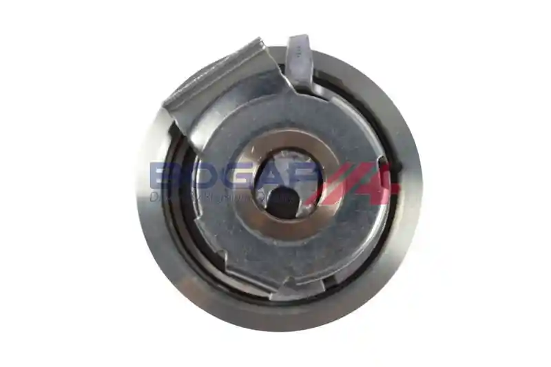 BOGAP A1317137