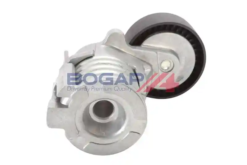 BOGAP A1317163