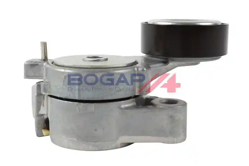 BOGAP A1317169