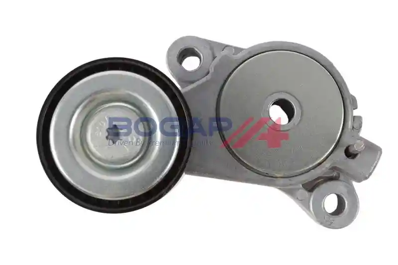 BOGAP A1317169