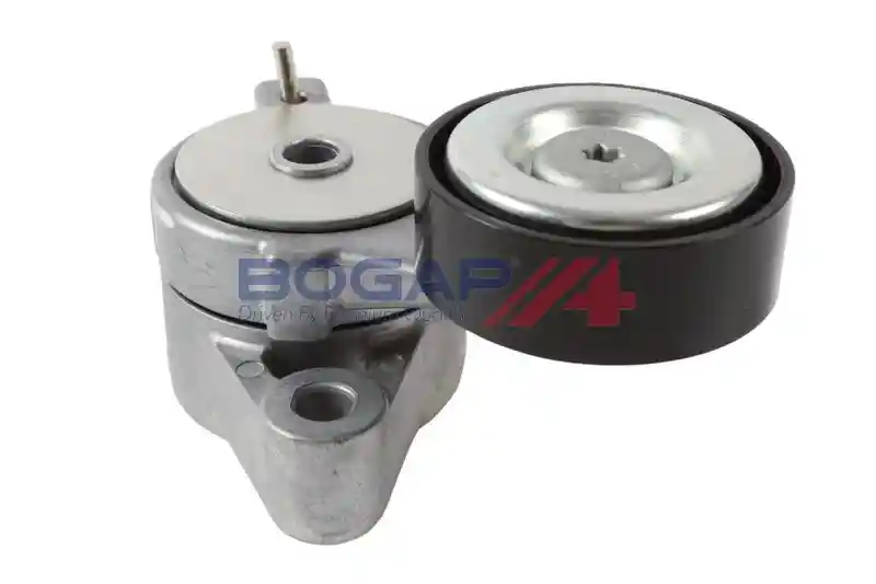 BOGAP A1317169