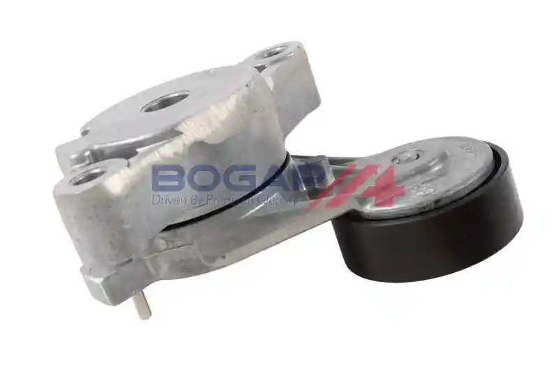 BOGAP A1317169