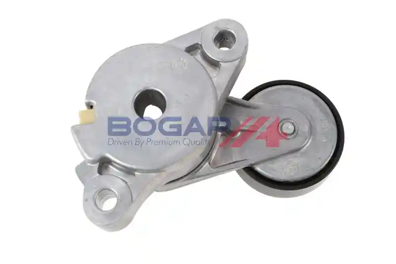 BOGAP A1317169