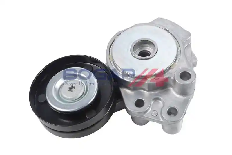 BOGAP A1317175
