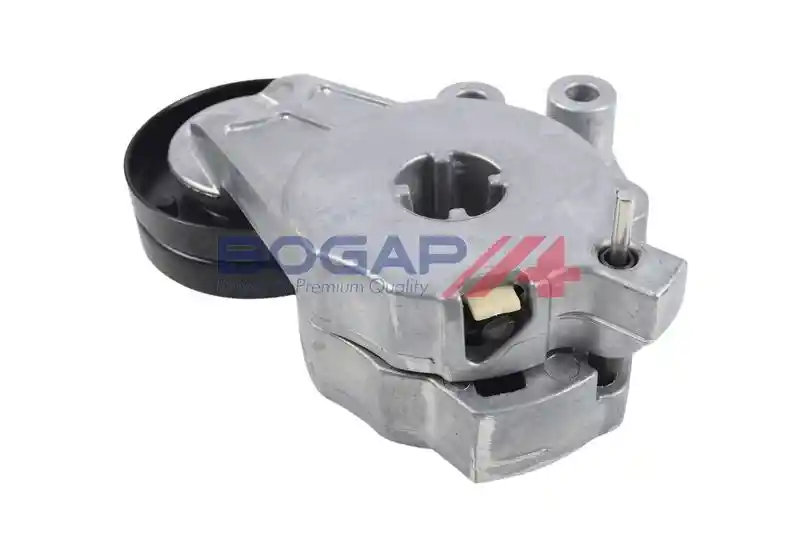 BOGAP A1317175