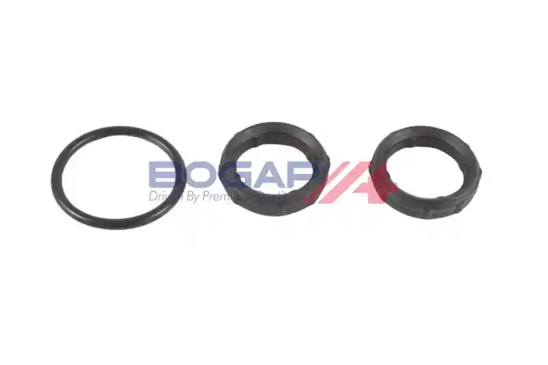 BOGAP A1328229 BOGAP A1328229