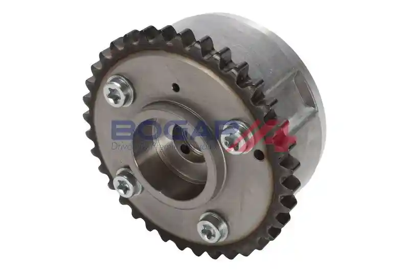 BOGAP A1336111
