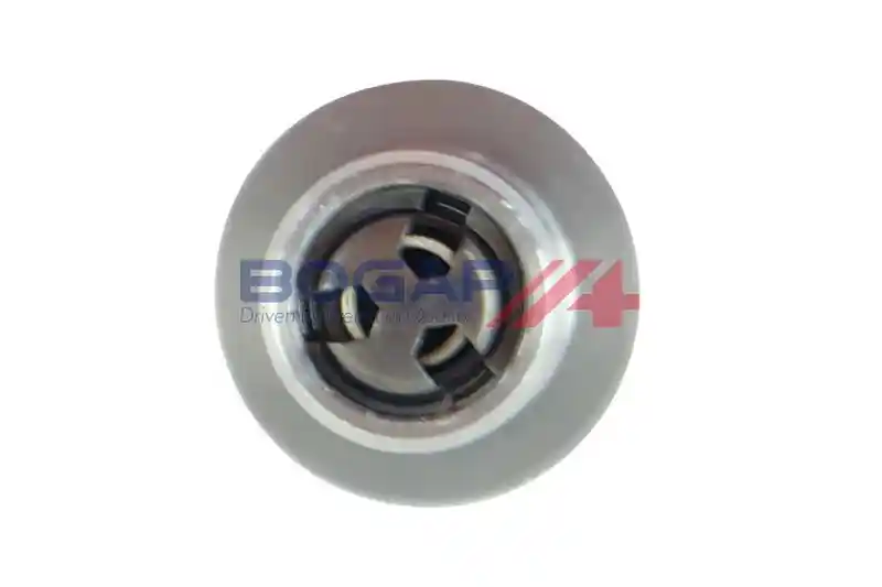 BOGAP A1338103