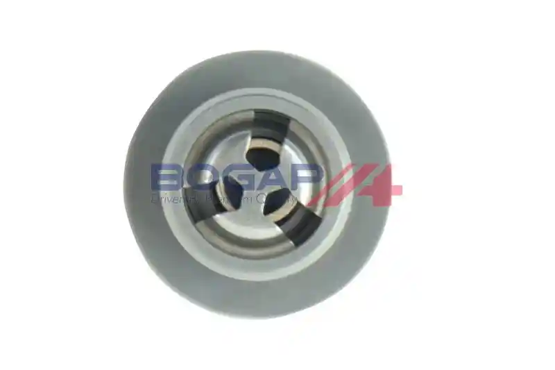 BOGAP A1338105