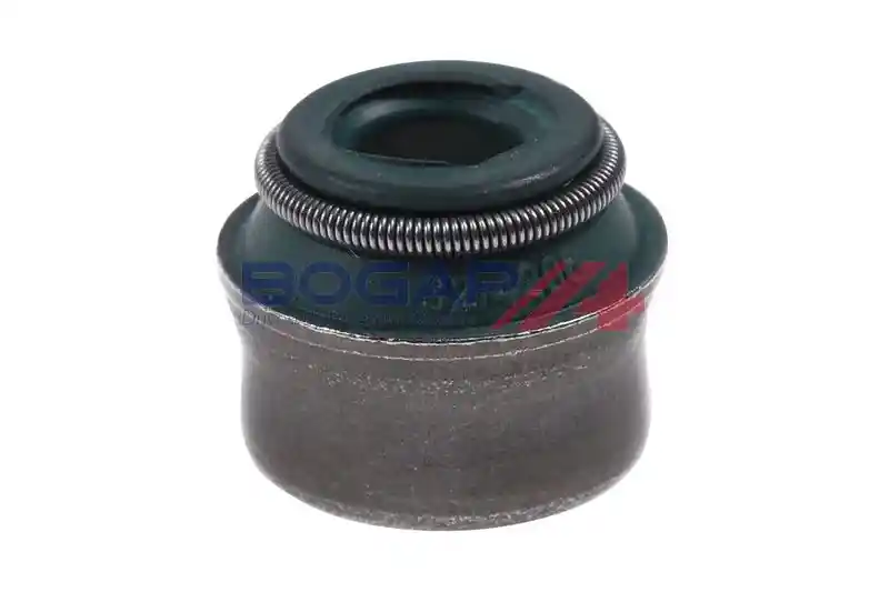 BOGAP A1343100
