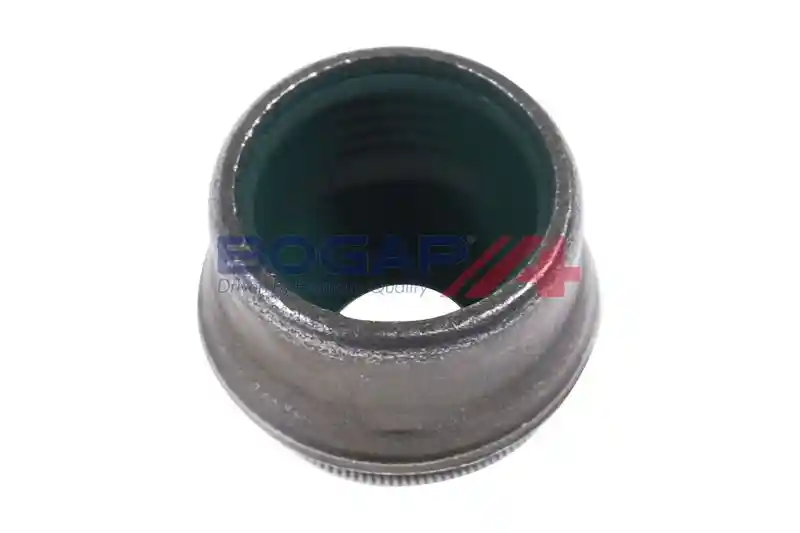 BOGAP A1343100