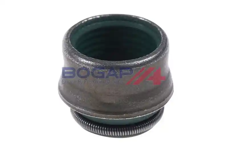 BOGAP A1343100