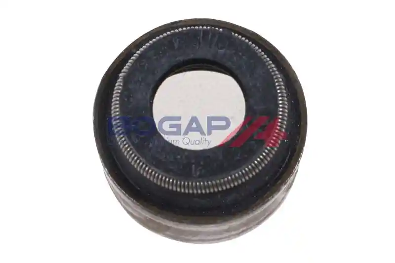 BOGAP A1343101