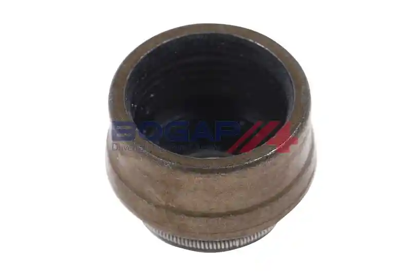 BOGAP A1343101