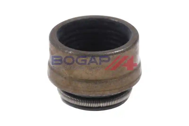 BOGAP A1343101