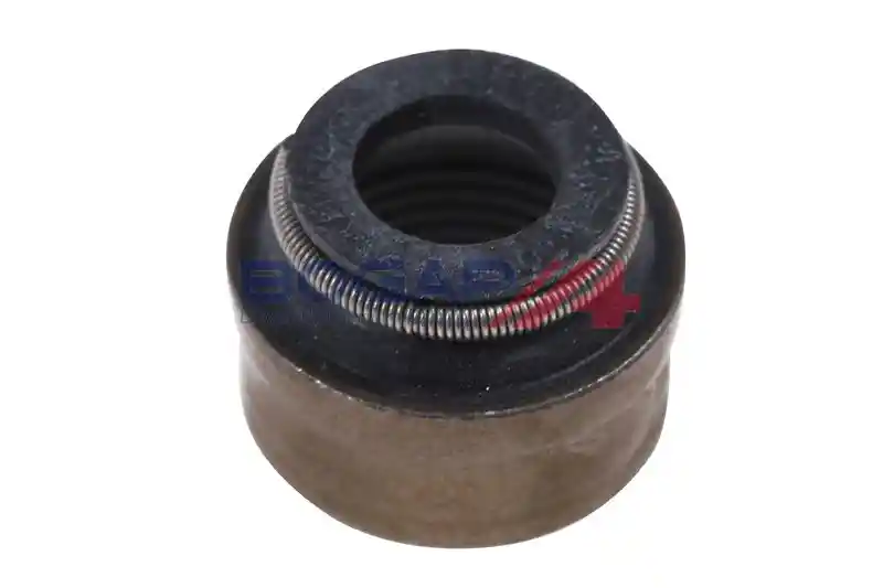 BOGAP A1343101