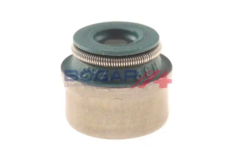 BOGAP A1343102