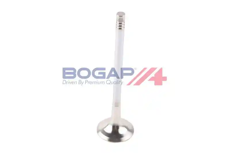 BOGAP A1353100