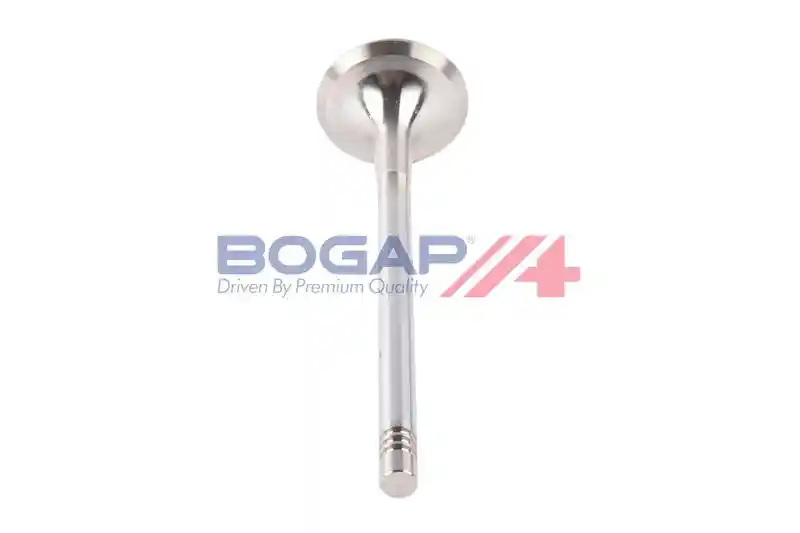 BOGAP A1353100